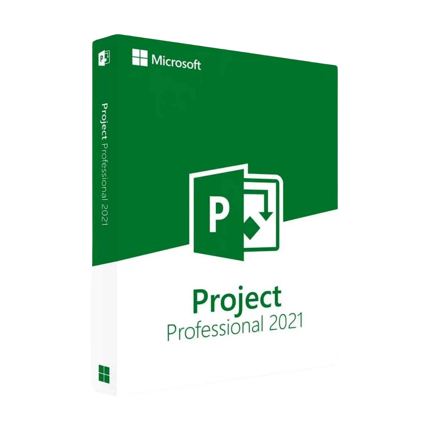 Microsoft Project Professional 2021